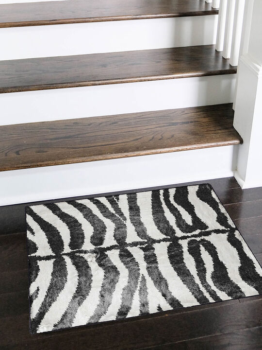 Akina AK1 Ivory 20" x 30" Rug
