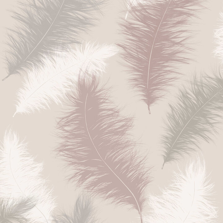 Sussurro Pink Feathers Wallpaper (Set of 2)