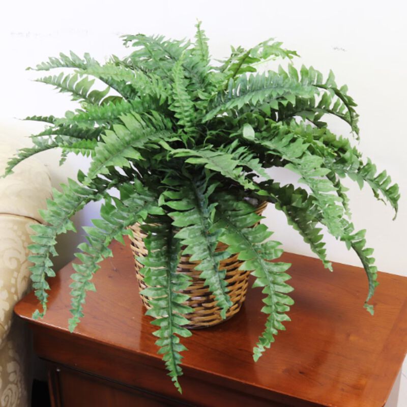 2 Pack Boston Fern Plant, 34" Wide UV Resistant, Hanging Greens, Artificial, Indoor Outdoor, Fits in Hanging Basket Planter, 50 Fronds