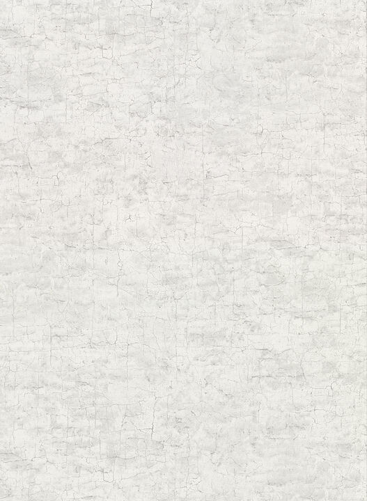 Pembroke Light Grey Faux Plaster Wallpaper
