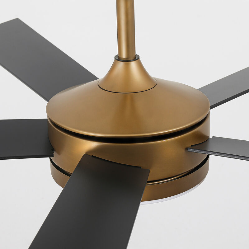 48" Modern Gold Reversible Dimmable Smart 5 Blade Ceiling Fan with APP Control and Remote, Light