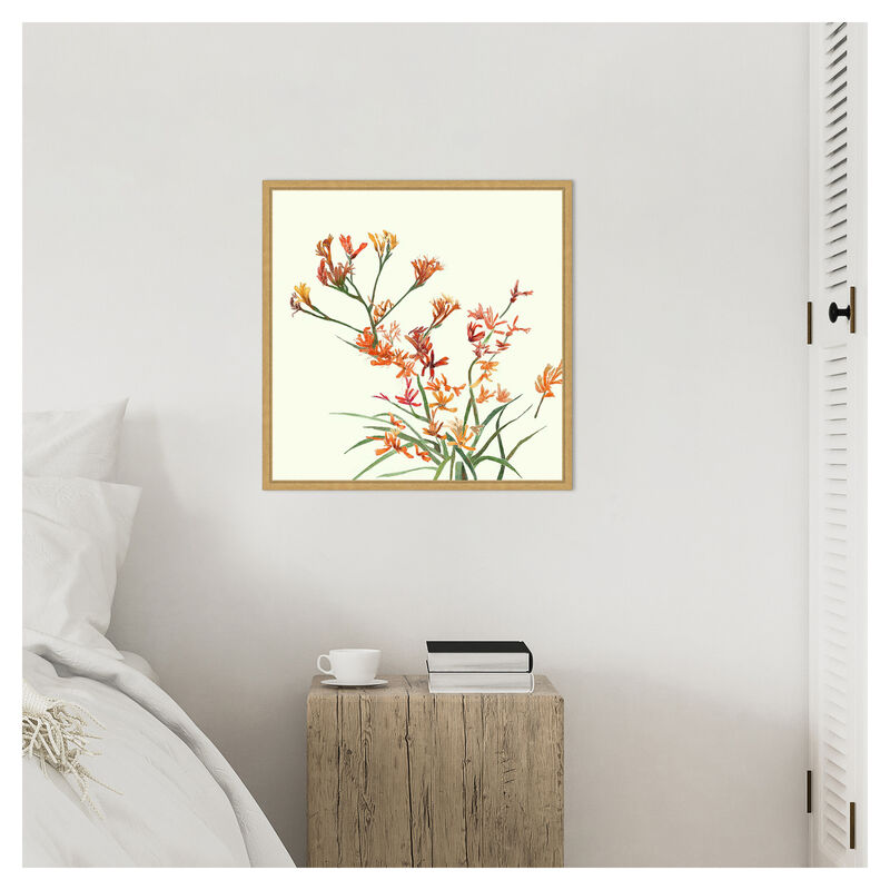 Kangaroo Paw 1 by Elan Studios Framed Canvas Wall Art image number 6