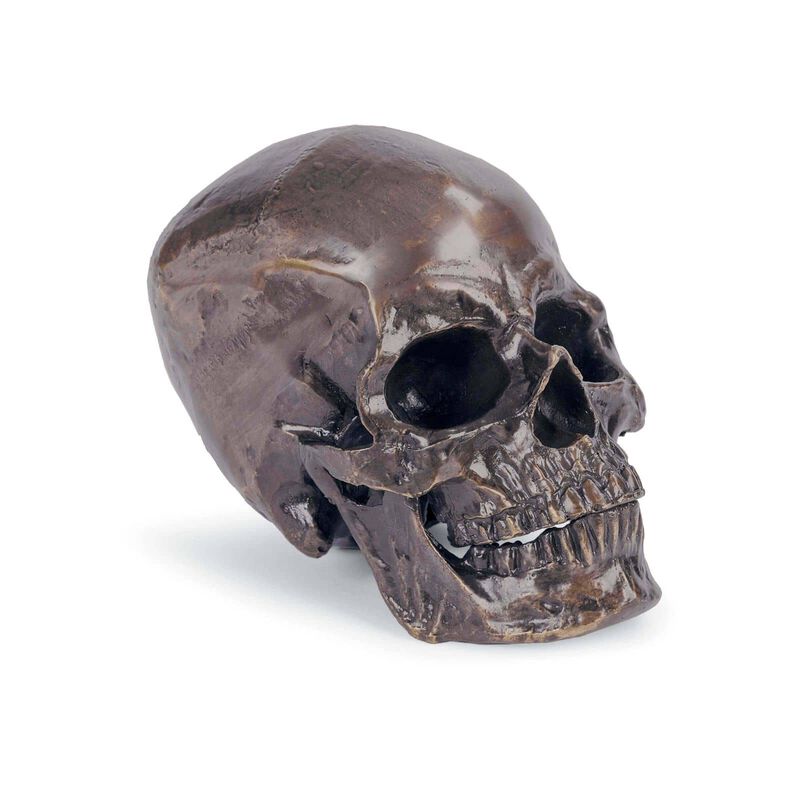 Metal Skull