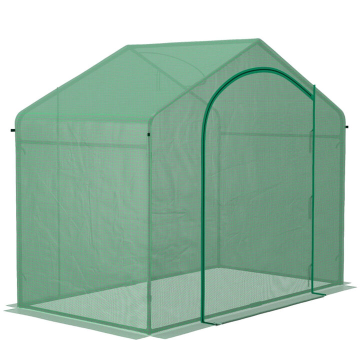 Mini Walk-In Greenhouse for Year-Round Plant Growth & Protection
