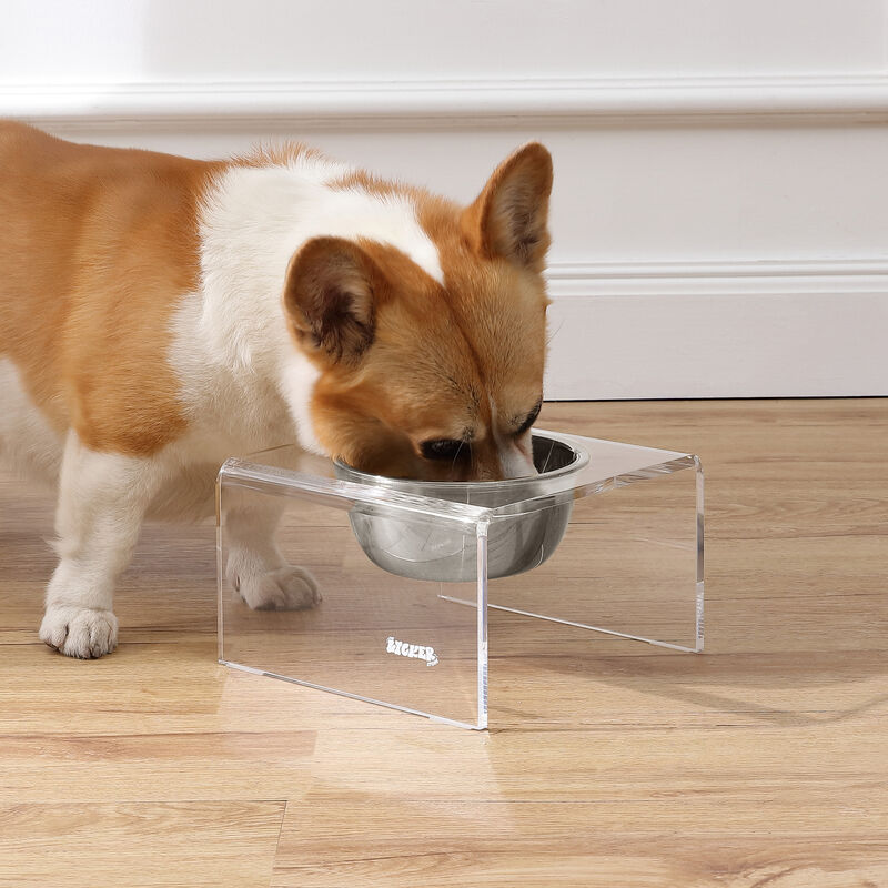 Keaton Modern Acrylic Rectangular Elevated Pet Feeder with Stainless Steel Bowls