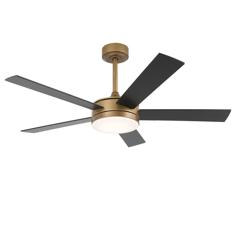 48" Modern Gold Reversible Dimmable Smart 5 Blade Ceiling Fan with APP Control and Remote, Light