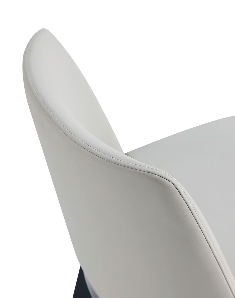 Gansevoort Gray Dining Chairs (Set of 4)