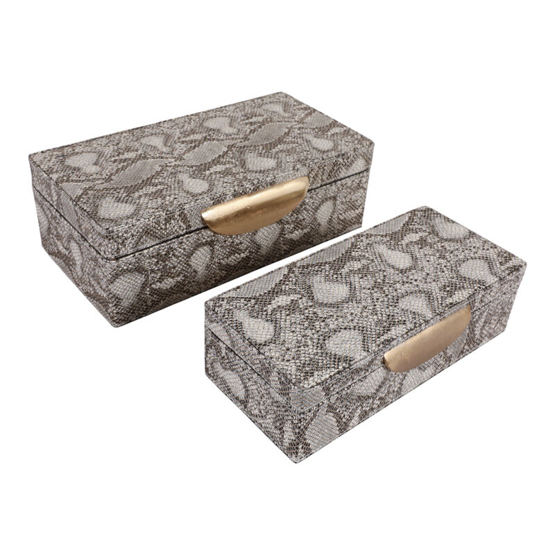 S/2 Shimmer Snakeskin Boxes image number 3