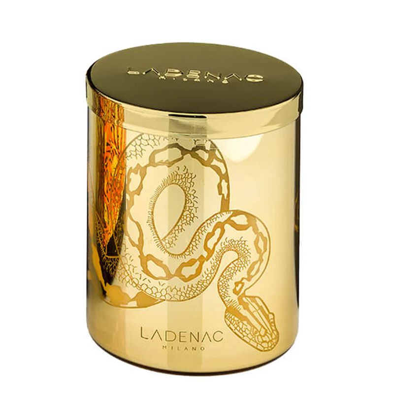 Candle in Jar AFRICA SNAKE 12.3 oz image number 0