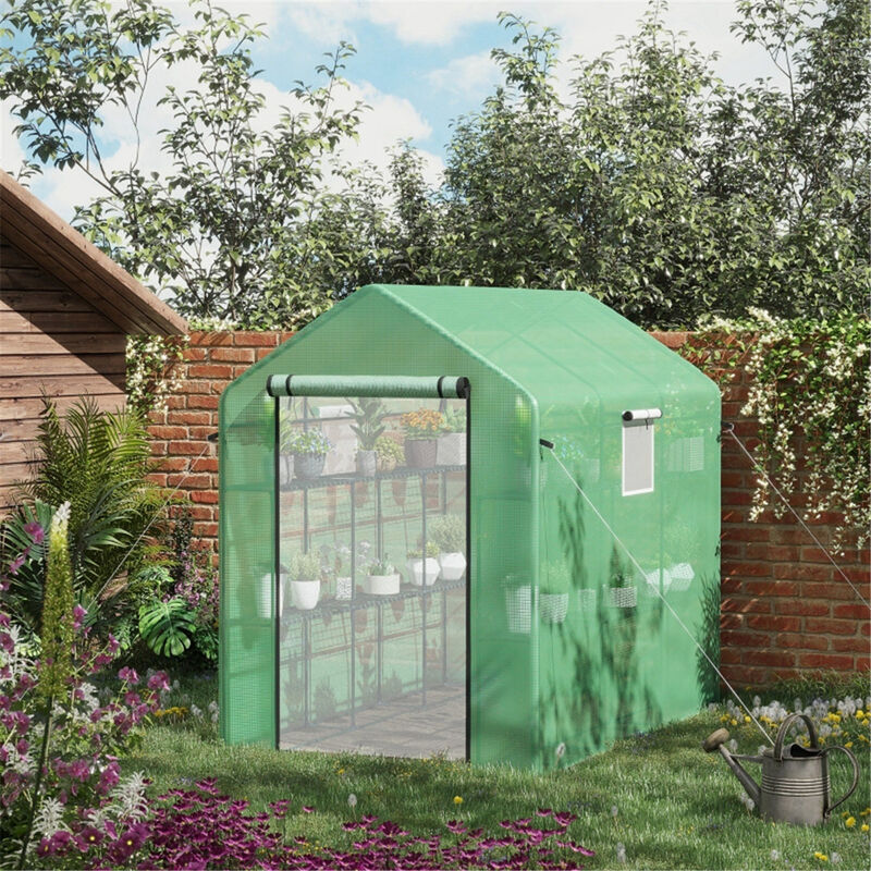 Compact Walk-in Greenhouse for Weather Protection and Gardening