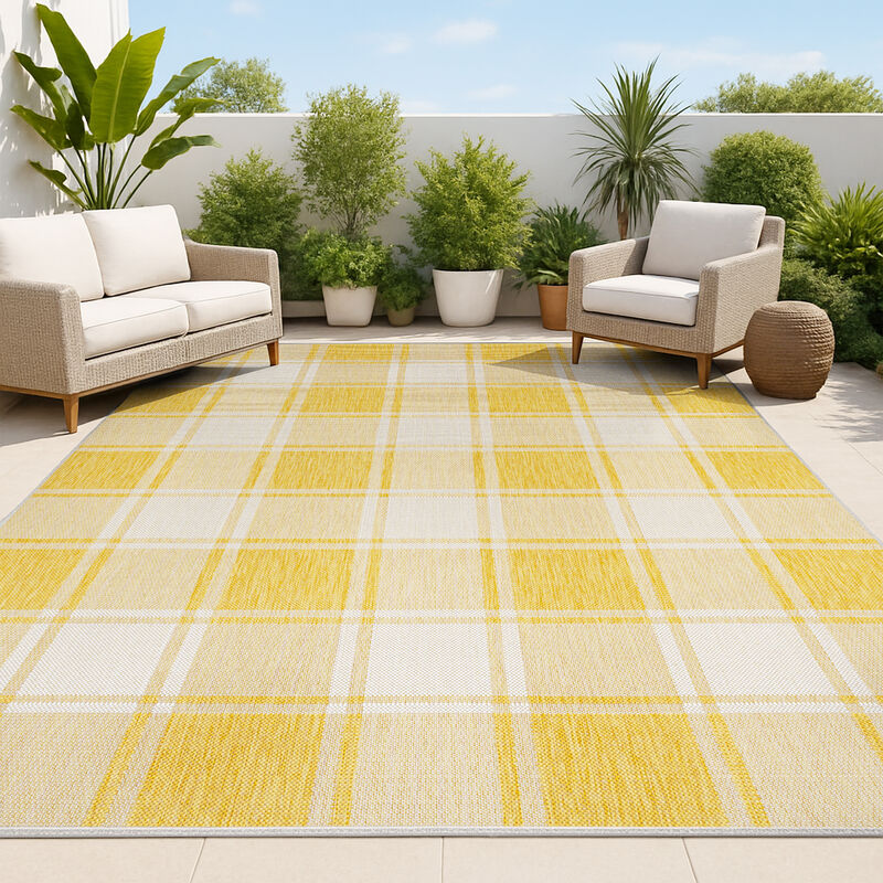Sabine Traditional Farmhouse Bold Gingham Indoor/Outdoor Area Rug