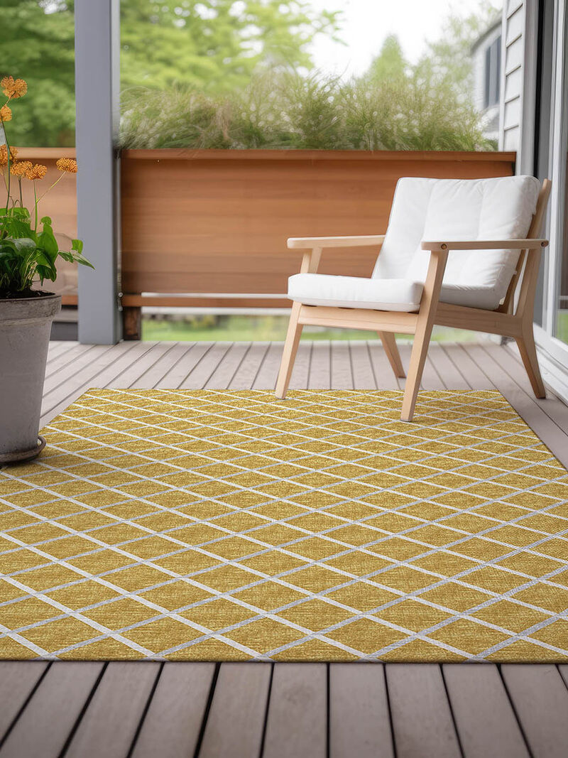 York YO1 Gold 10' x 14' Rug