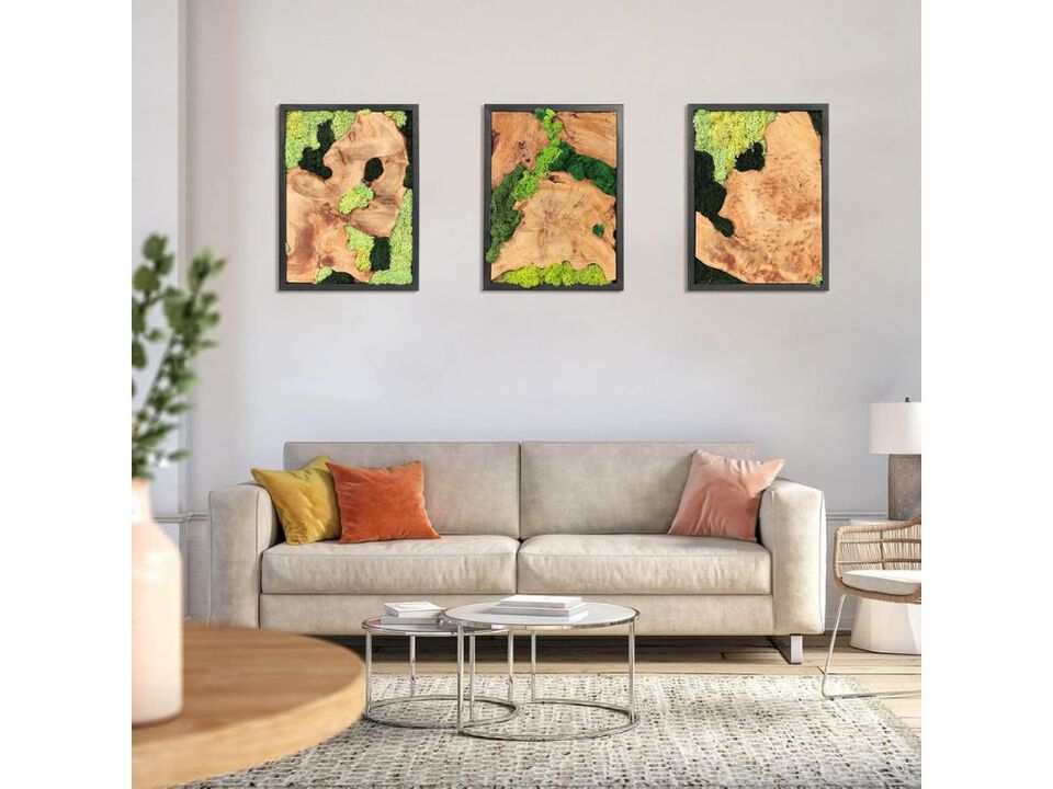 Natural Preserved Moss Wall Art Rustic Wood Handcrafted Decor for Living Room Set