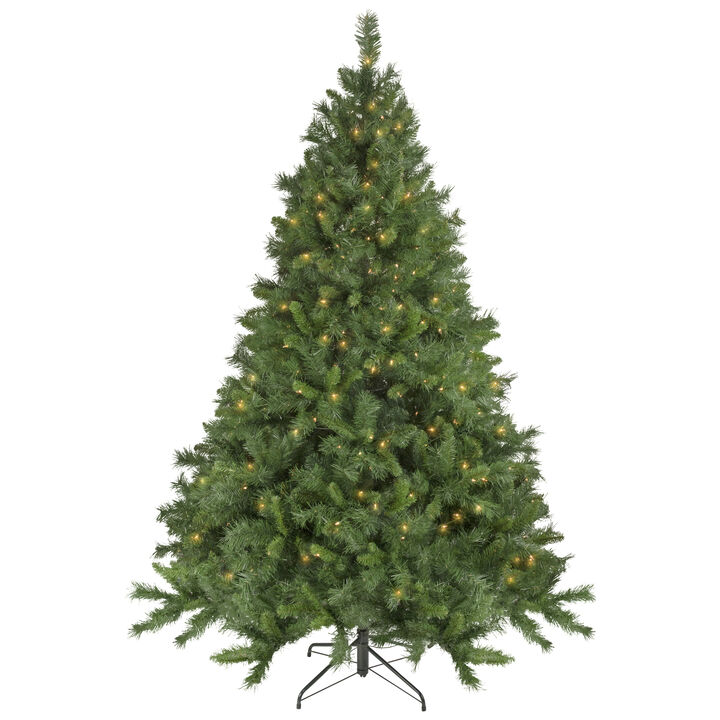 6.5' Pre-Lit Chatham Pine Artificial Christmas Tree  Clear Lights