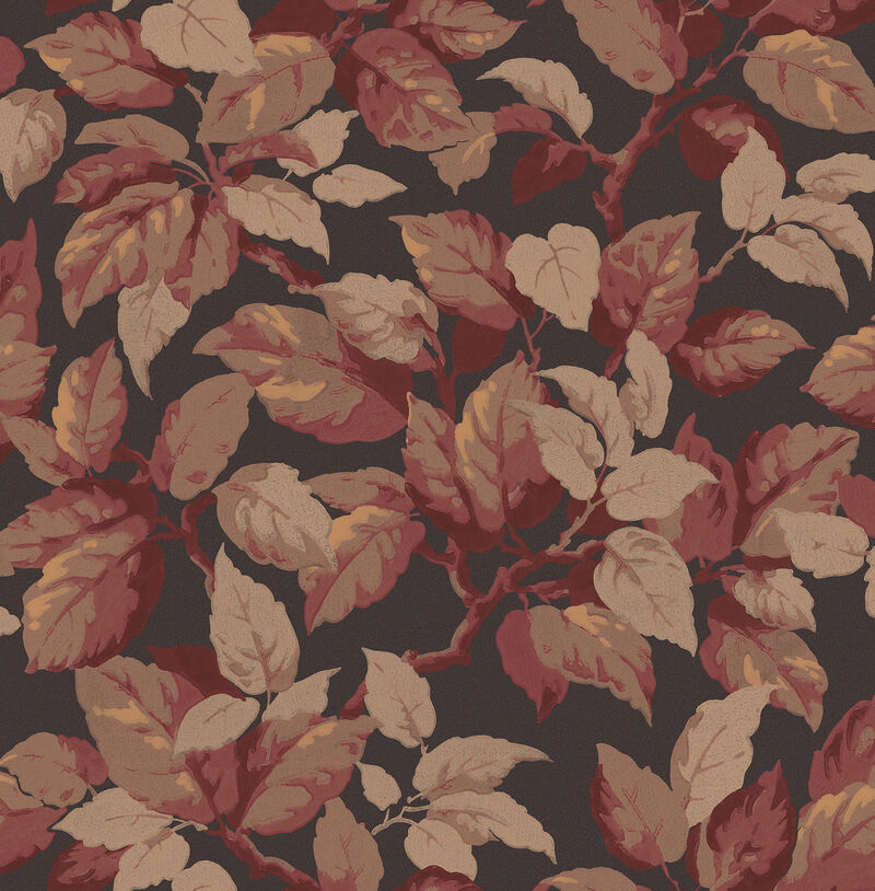 Canopy Westbury Forest Wallpaper image number 1