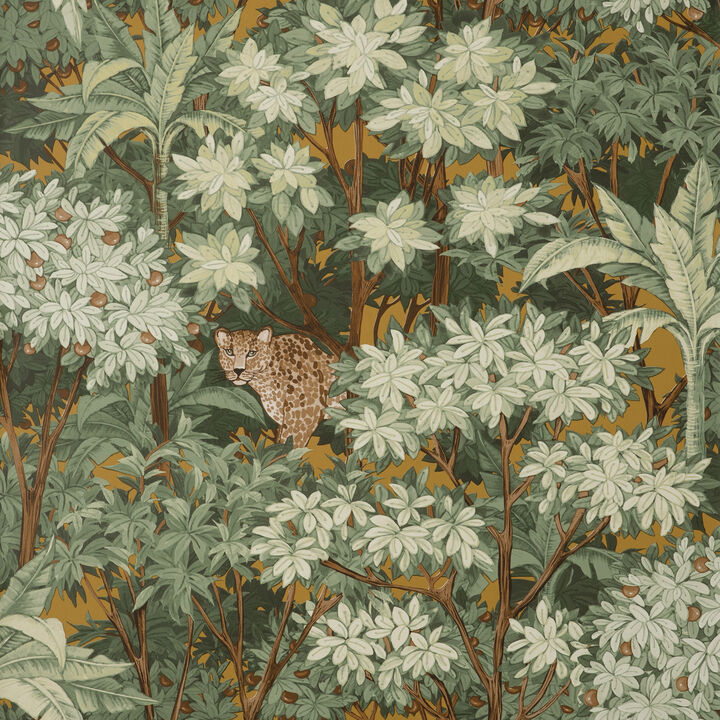 Kamali Moss Leopard Trees Wallpaper