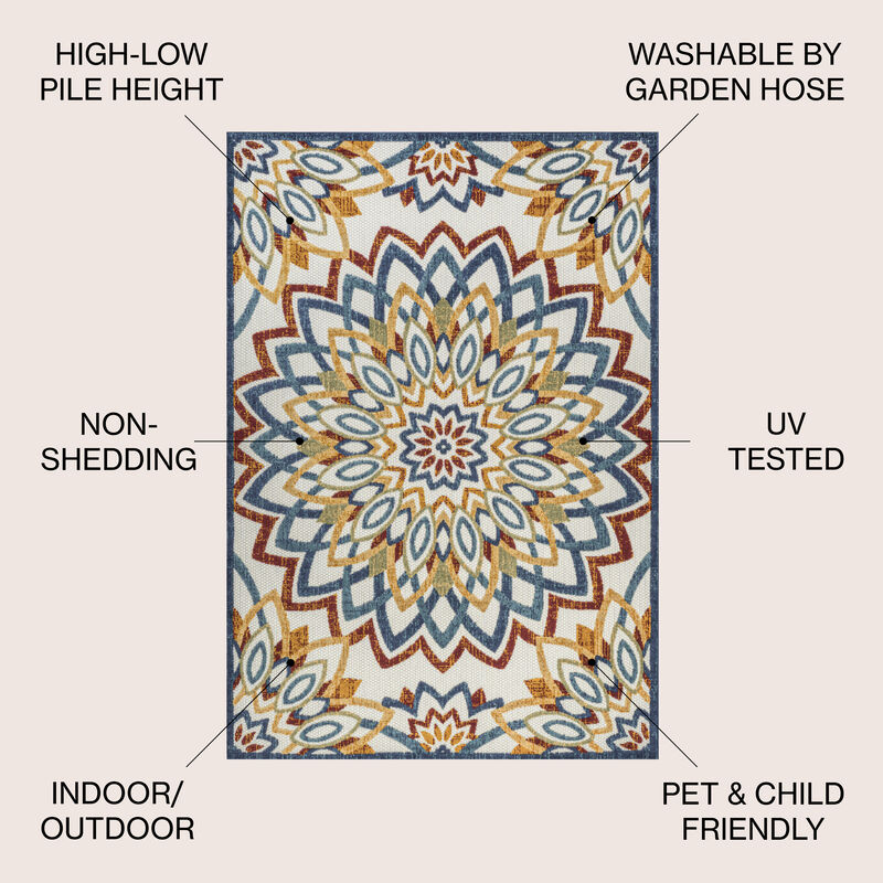 Flora Abstract Bold Mandala High-Low Indoor/Outdoor Area Rug
