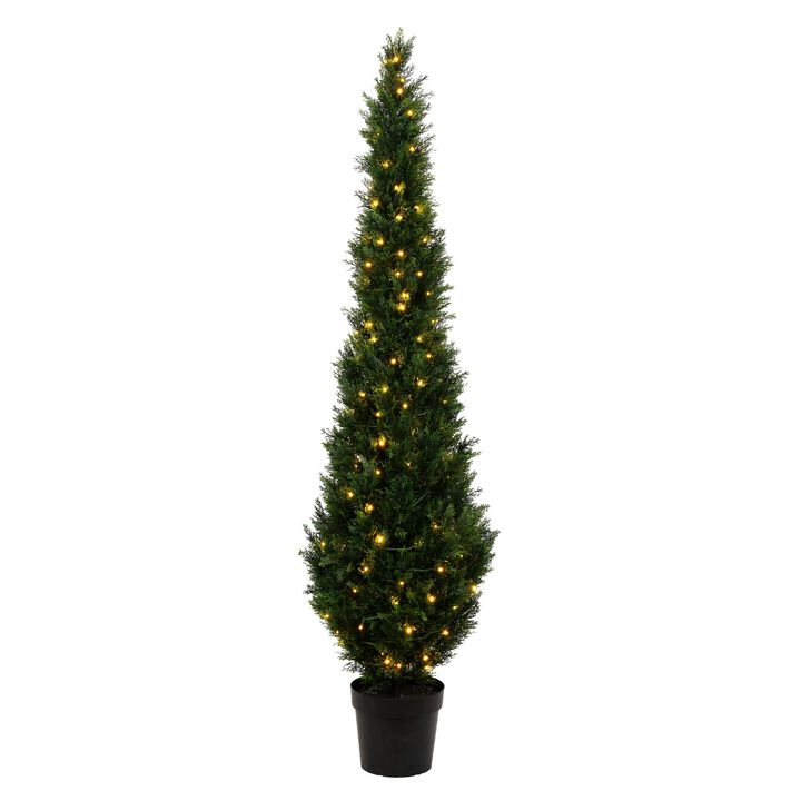 Cedar Tree UV LED