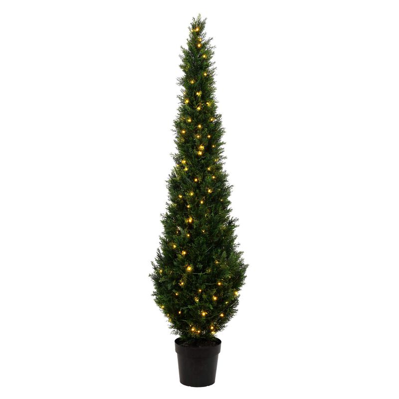 Cedar Tree UV LED image number 0
