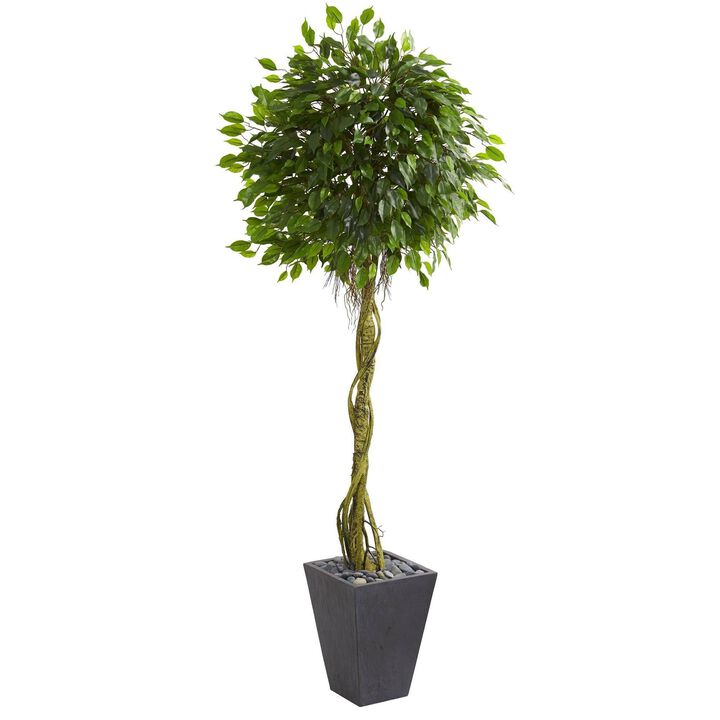 Nearly Natural Ficus Tree in Slate Planter UV Resistant (Indoor/Outdoor)