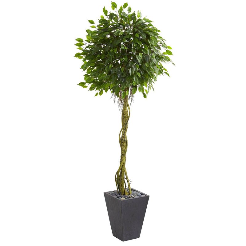 Nearly Natural Ficus Tree in Slate Planter UV Resistant (Indoor/Outdoor)