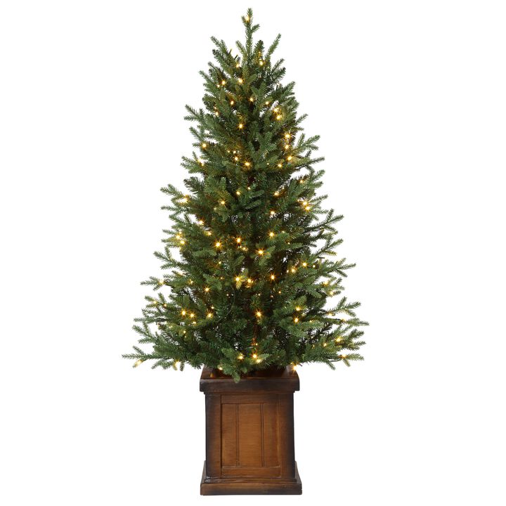 4.5 Foot New Haven Fraser Fir Potted Tree