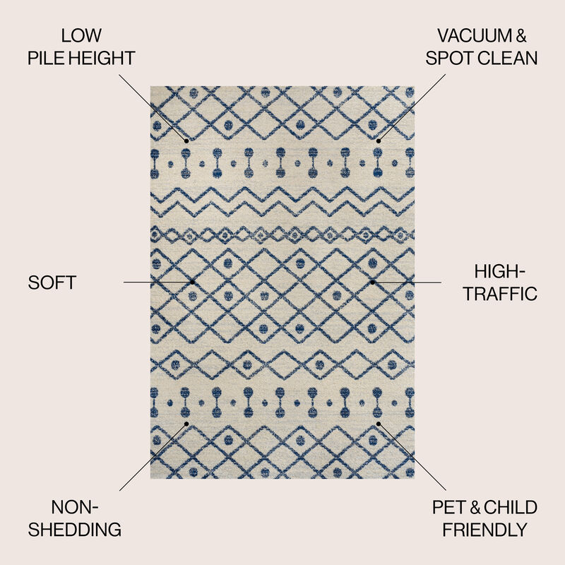 Aksil Moroccan Beni Souk Area Rug