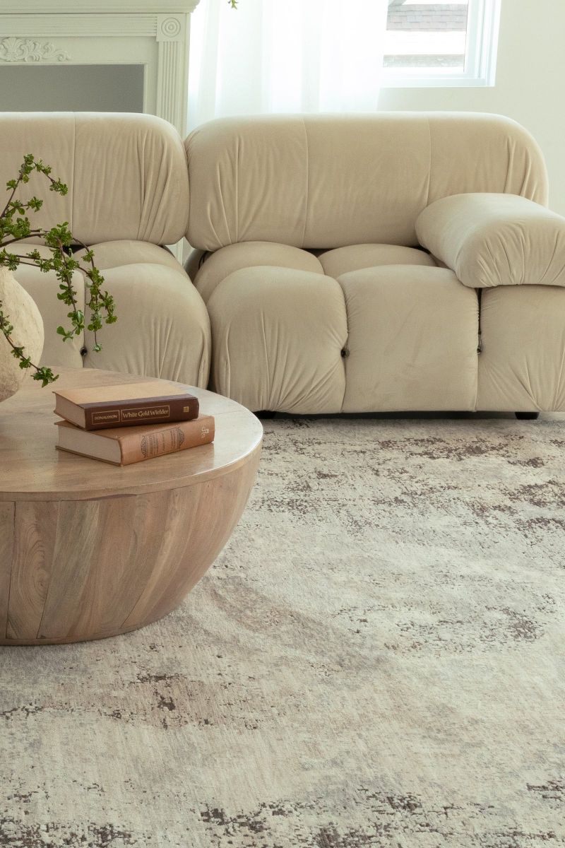 Nebulous 50J Ivory 3'3" x 5' Rug image number 2
