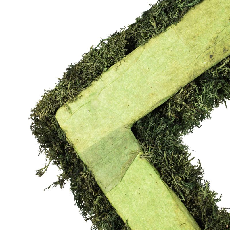 Vickerman 15.5 " Reindeer Moss Square-Dark Green image number 4