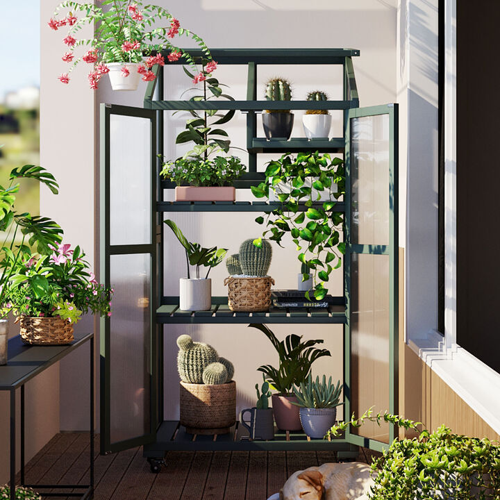 Whisen 78-Inch Garden sheds, Greenhouse with 4 Skylights & 2 Folding Shelves
