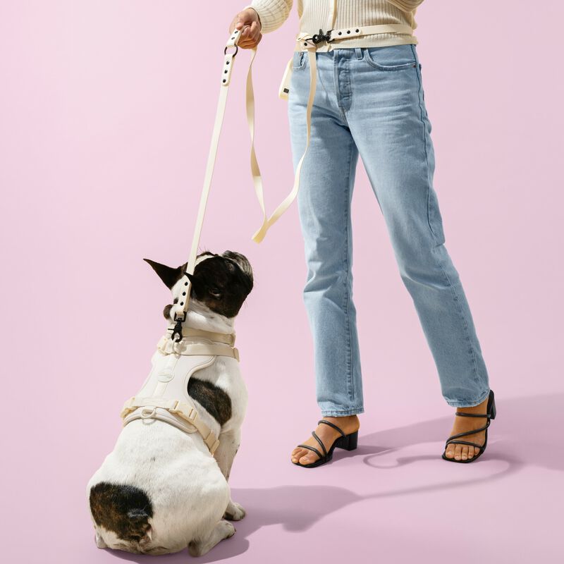 Arlo Adjustable Soft Padded No Pull Pet Harness with 3 Buckles and 3 Leash Clips