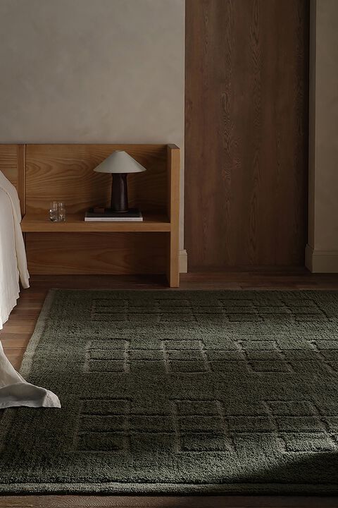 Aibel Tulay Basil 6' x 9' Rug