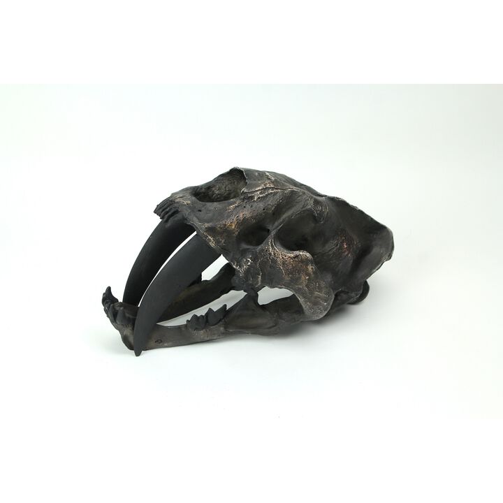 Hand Painted Realistic Prehistoric Brown Saber Toothed Cat Skull Fossil Statue