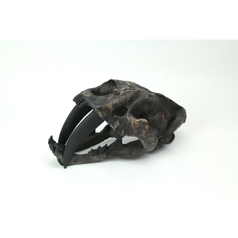 Hand Painted Realistic Prehistoric Brown Saber Toothed Cat Skull Fossil Statue image number 1