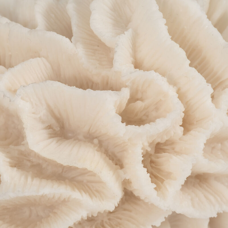 6" Petal Coral, Ivory image number 3