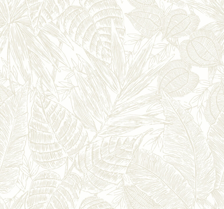 Brentwood Bone Palm Leaves Wallpaper