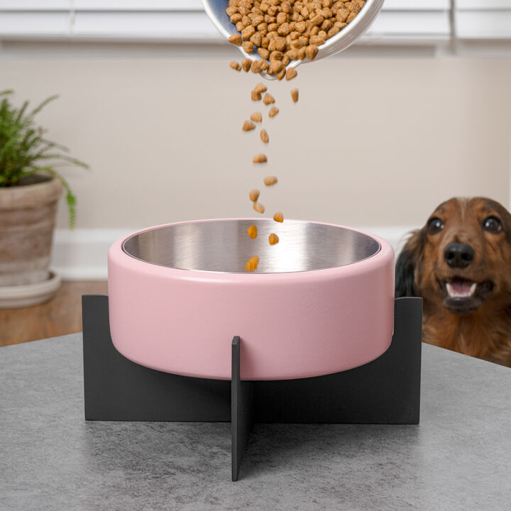 Intersecta Concrete and Stainless Steel Bowl 16oz (2 Cups) with Metal Stand Pet Feeder