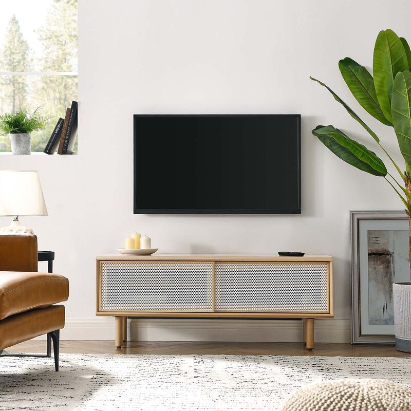 Kurtis 47" TV Stand image number 1