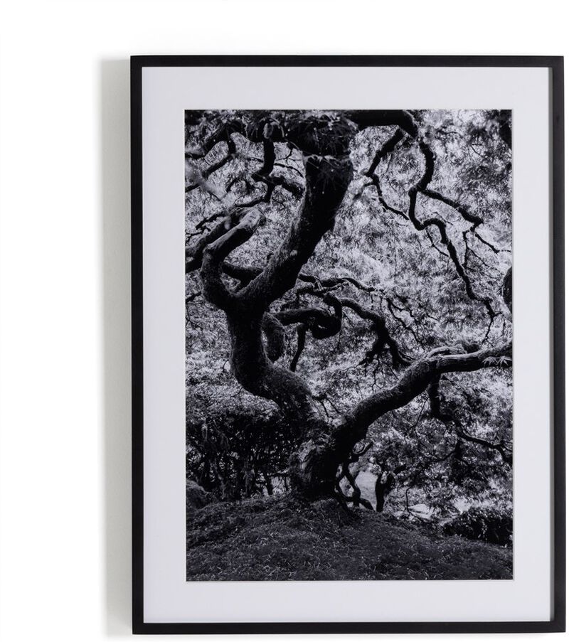 Tree Gaze Iv image number 0