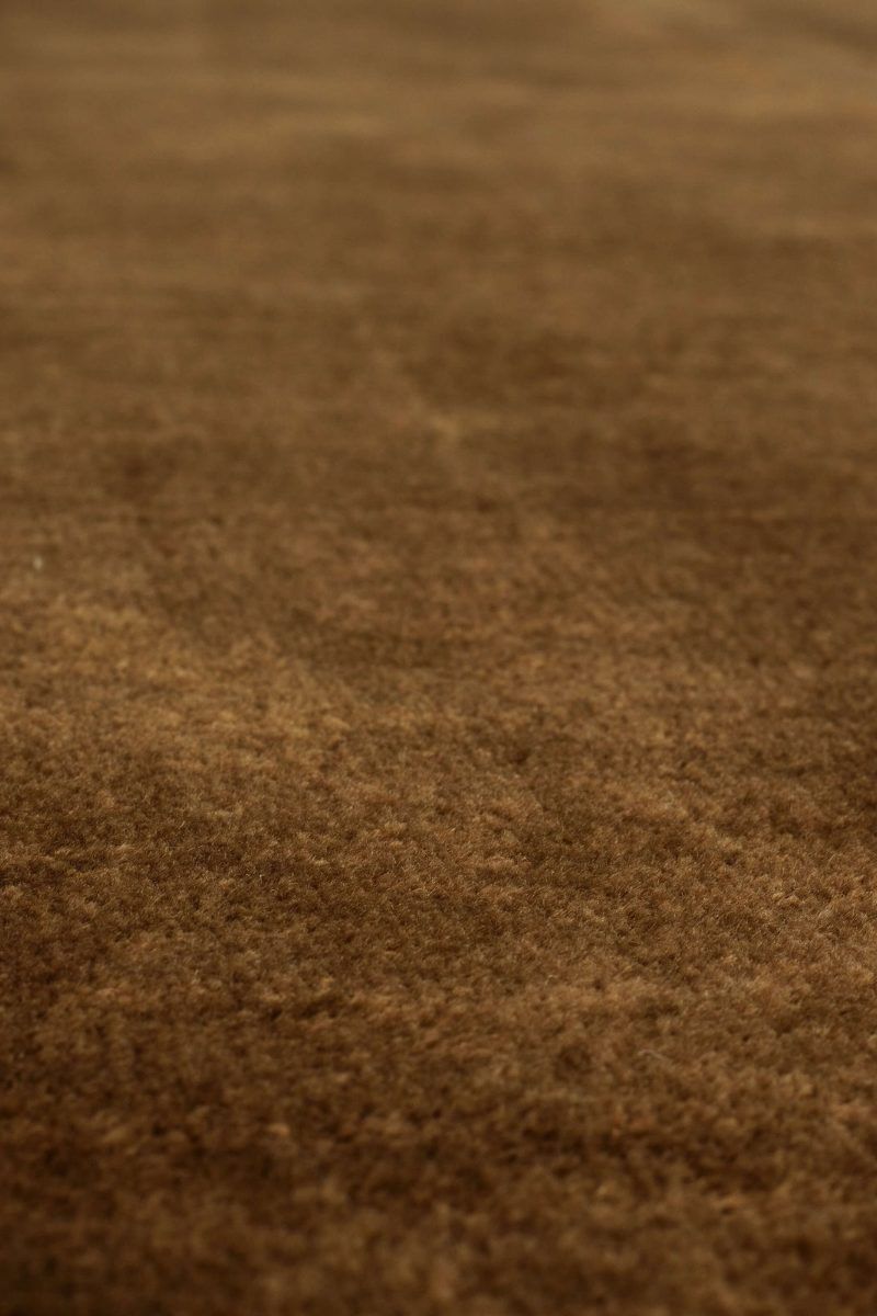 Hudson Sienna 10' x 14' Rug image number 4