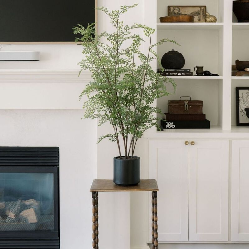 Faux Maidenhair Fern image number 1