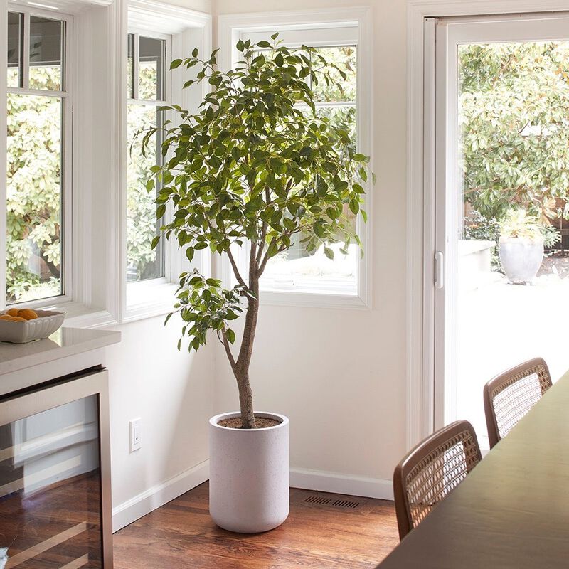 Artificial Ficus Tree with Artisan Planter image number 1