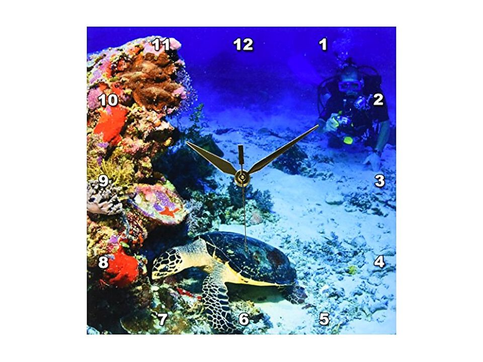 Hawksbill Turtle Scuba Diver Micronesia Wall Clock 10 Inch Home Decor