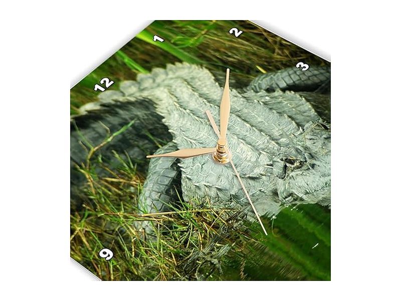 Grow Them Here Florida Alligator Wall Clock 10 Inch Home Decor image number 3