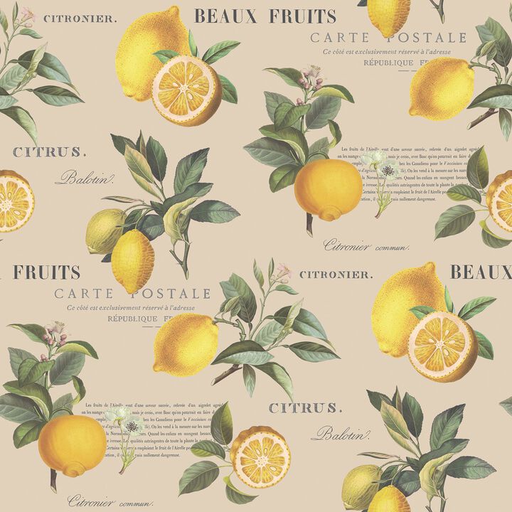 Just Kitchens Citron Botanical Beige Wallpaper G45410