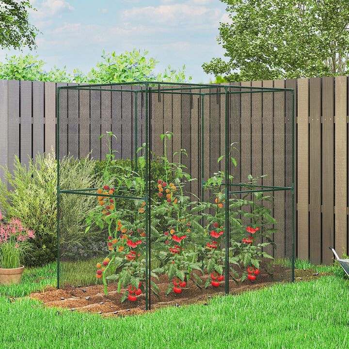 Hivvago 6' x 4' x 6' Walk-In Crop Cage Plant Protector