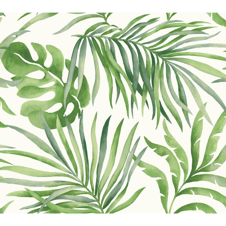 Paradise Palm Green Wallpaper