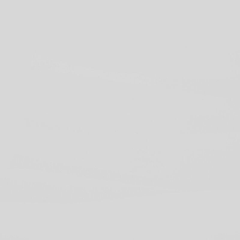 Nim Queen Size Bed, Sleigh Panel Headboard Design, White, Low Profile - Benzara