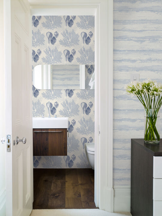 Nauset Blue Seashell Shores Wallpaper