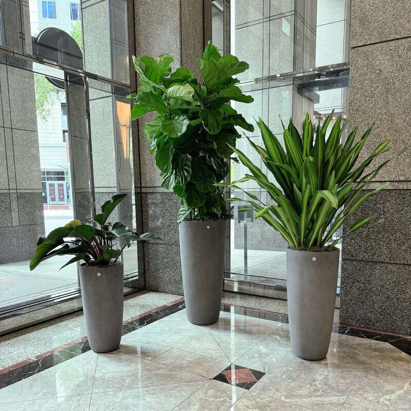 COSAPOTS Lofto Tall Planter - Fiberglass Indoor/Outdoor and Weather-Resistant Large Planter